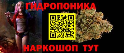дурь Ливны