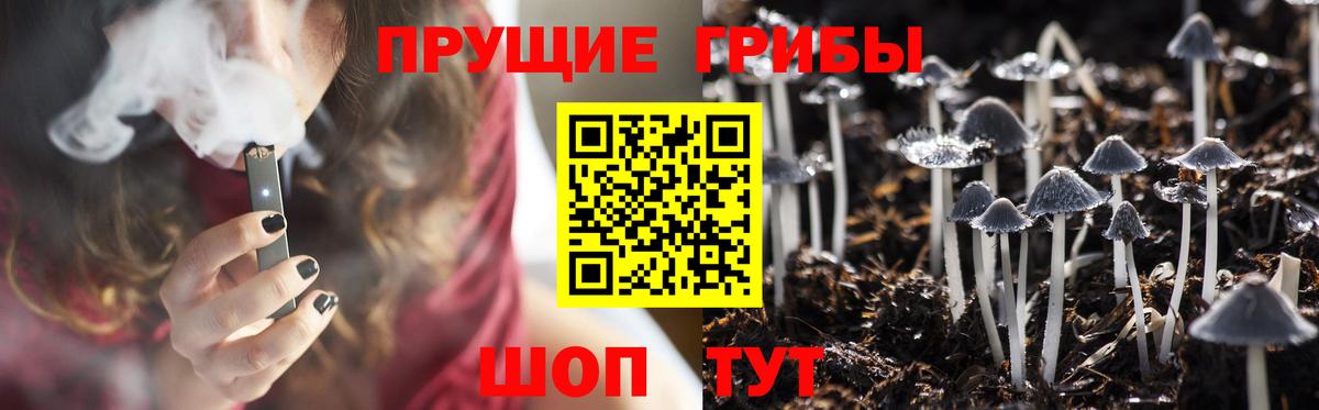 Галлюциногенные грибы Magic Shrooms Югорск